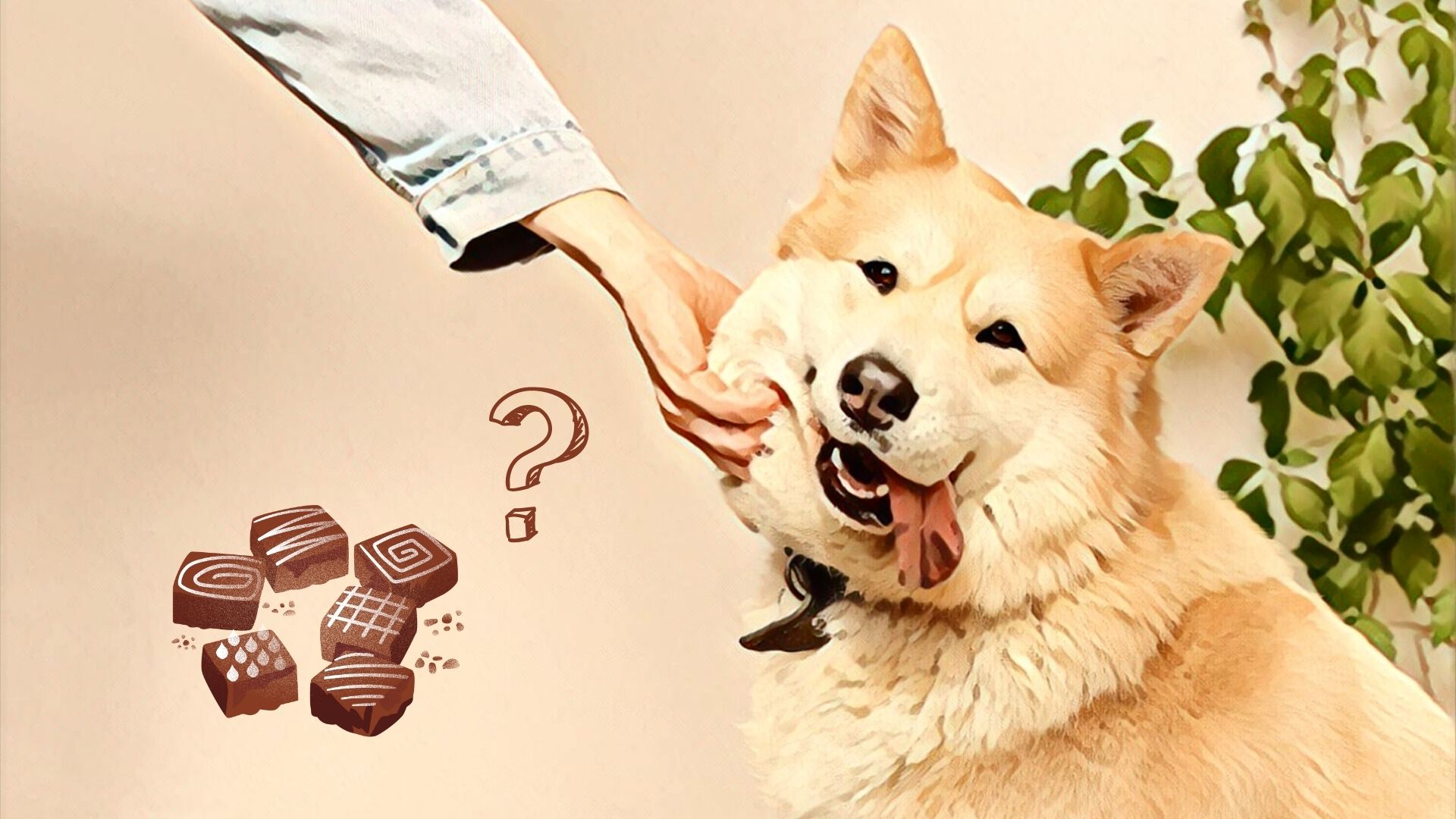 Kan hunde tåle chokolade?