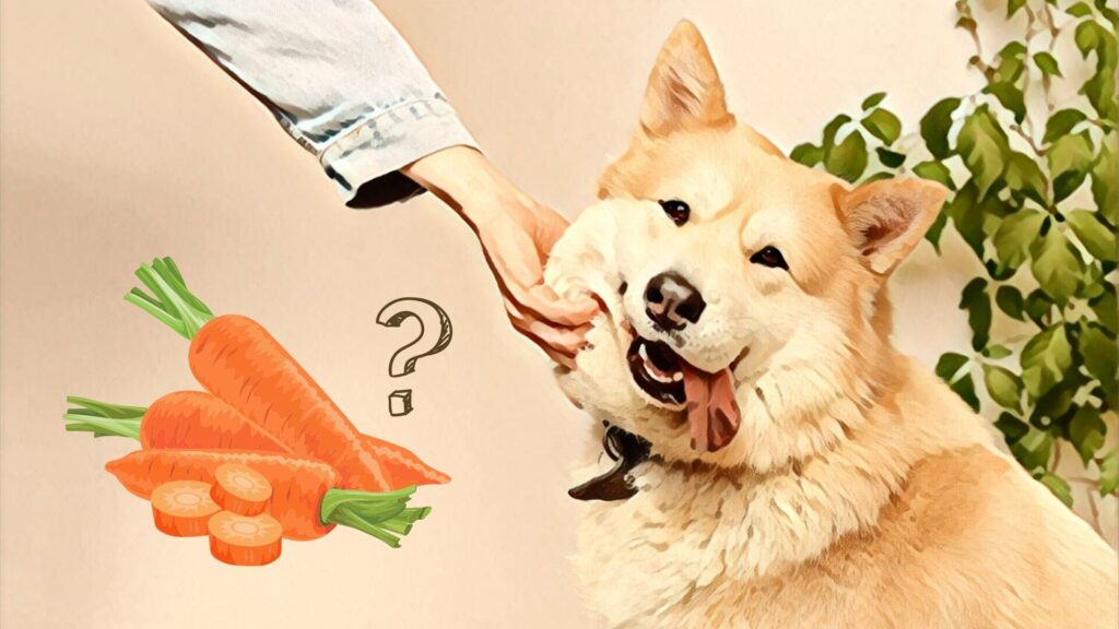 Kan hunde tåle gulerødder?