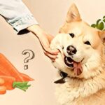 Kan hunde tåle gulerødder?