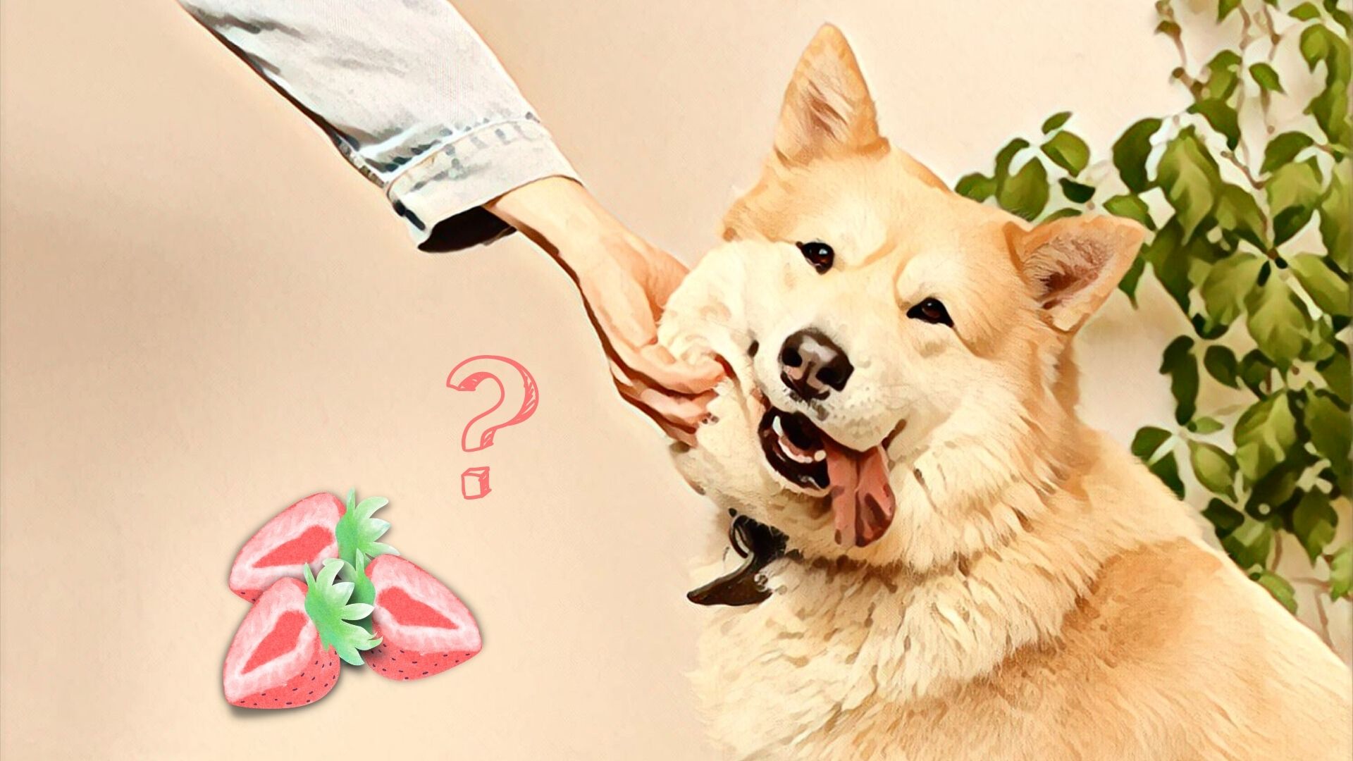 Kan hunde tåle jordbær? - Er Jordbær sikker spise for din