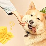 Kan min hund spise ost