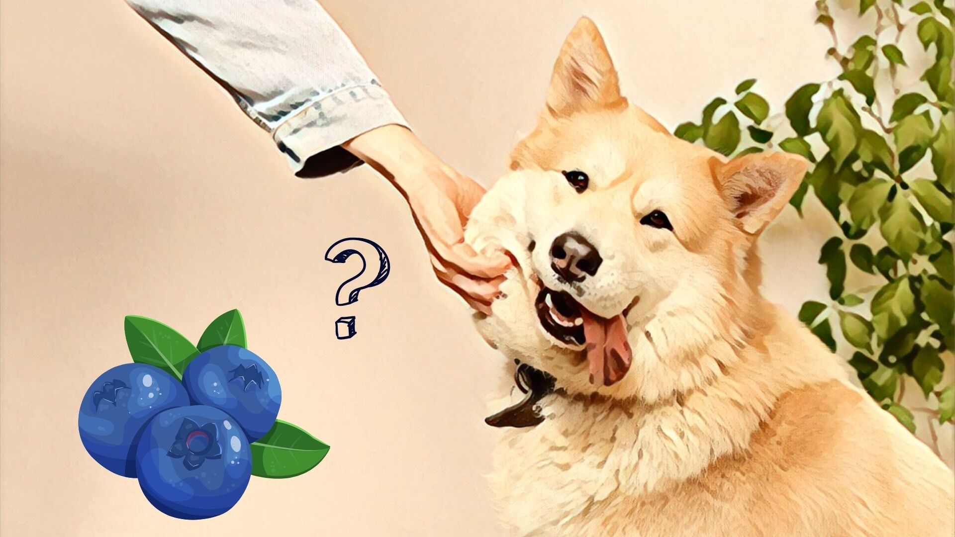 Modtager damper hoste Fordele og Ulemper ved at give sin Hund Blåbær