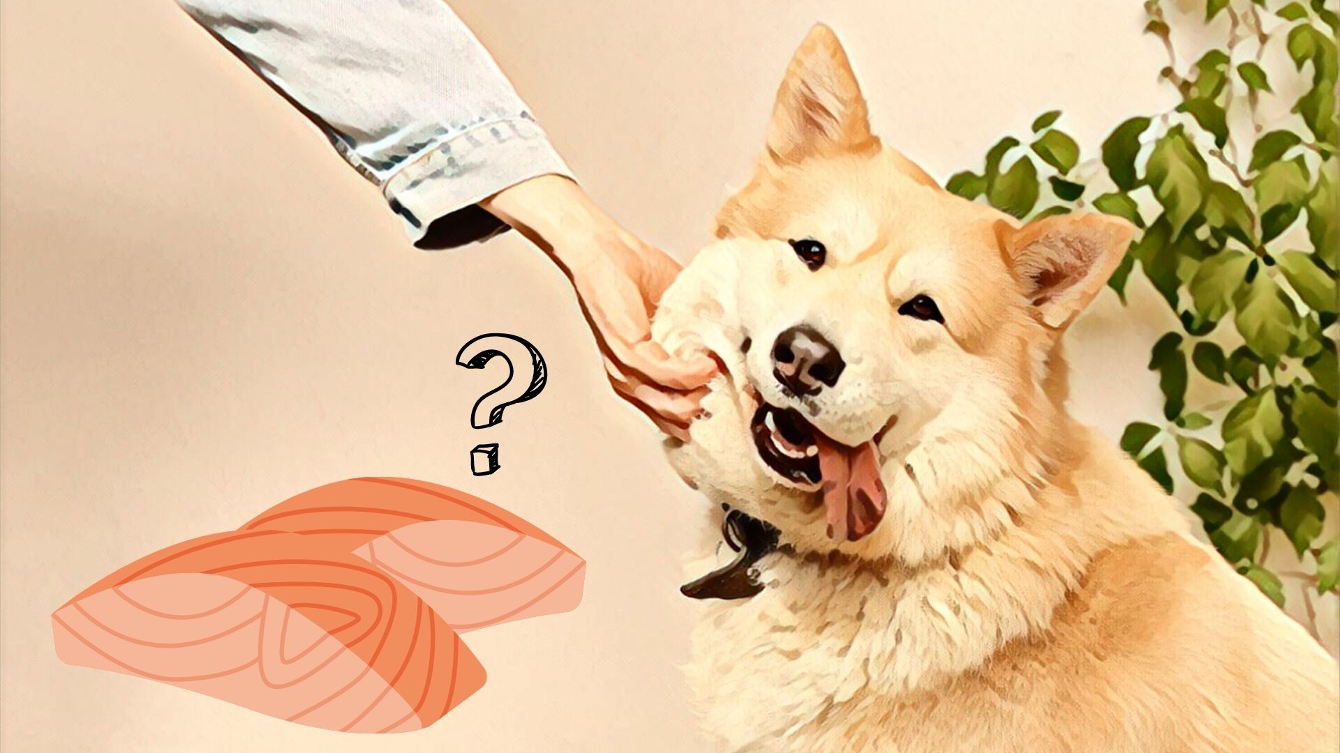 Kan Hunde Tåle Laks? Og er godt for